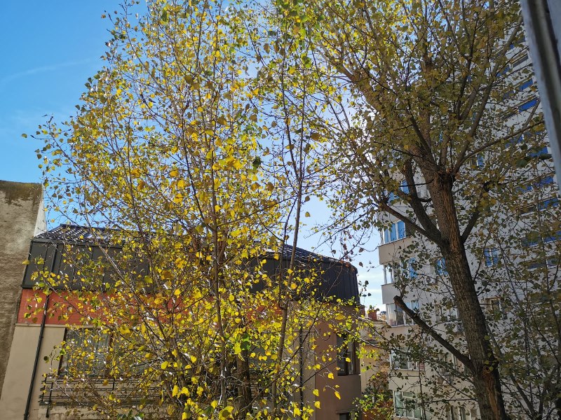 [Agentie IMOBILIARA sector 1] Vanzare apartament 3 camere Polona – zona centrala, linistita si cu acces excelent post thumbnail image